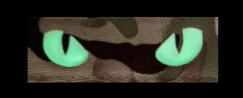 Watching Eyes Reflective Hook& - 3D Printing Watch 评论和价格