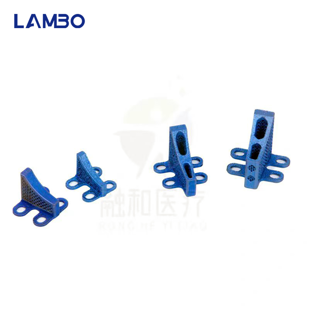 3D Printing TTA System Cage Bo - 3D Printing Orthopedics 评论和价格