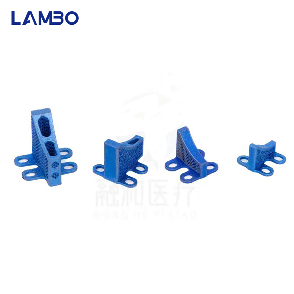 3D Printing TTA System Cage Bo - 3D Printing Orthopedics 评论和价格