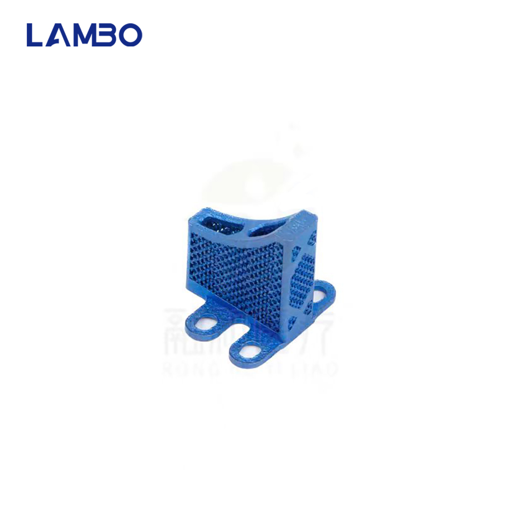 3D Printing TTA System Cage Bo - 3D Printing Orthopedics 评论和价格